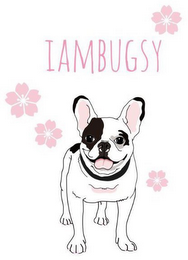 IAMBUGSY