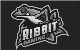 RIBBIT GAMING