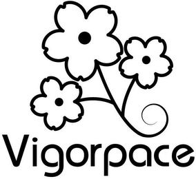 VIGORPACE