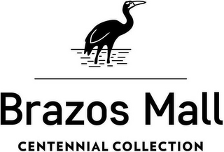 BRAZOS MALL CENTENNIAL COLLECTION