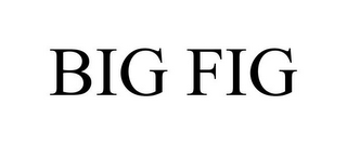 BIG FIG