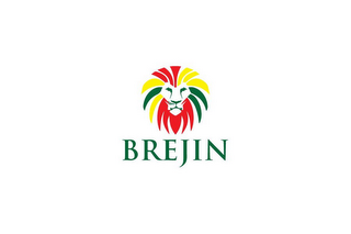 BREJIN