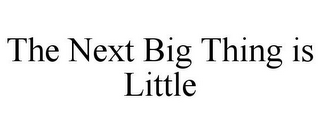 THE NEXT BIG THING IS LITTLE