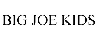 BIG JOE KIDS