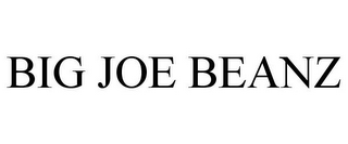 BIG JOE BEANZ