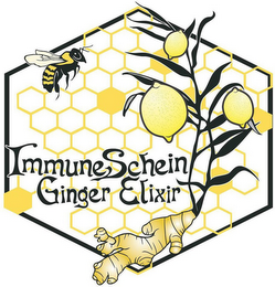 IMMUNESCHEIN GINGER ELIXIR