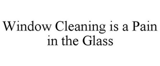 WINDOW CLEANING IS A PAIN IN THE GLASS