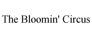 THE BLOOMIN' CIRCUS