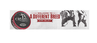 PREMIUM DARK SELECT GRIZZLY LONG CUT EST 1900 AMERICAN SNUFF CO. WELCOME TO A DIFFERENT BREED DARK SELECT