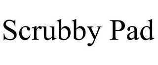 SCRUBBY PAD