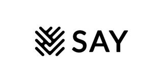 SAY