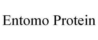 ENTOMO PROTEIN