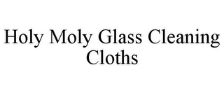 HOLY MOLY GLASS CLEANING CLOTHS