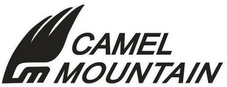 CM CAMEL MOUNTAIN