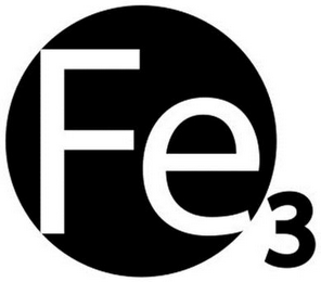 FE3