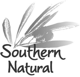 SOUTHERN NATURAL