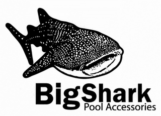 BIG SHARK POOL ACCESSORIES