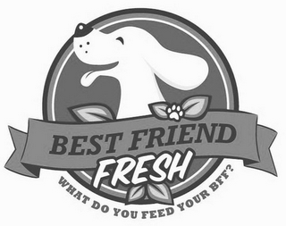 BEST FRIEND FRESH WHAT DO YOU FEED YOUR BFF?