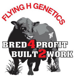 FLYING H GENETICS H BRED4PROFIT BUILT2WORK