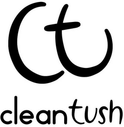 CT CLEANTUSH