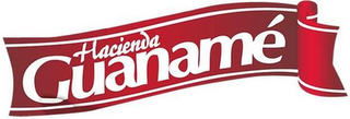 HACIENDA GUANAMÉ