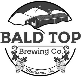 BALD TOP BREWING CO. MADISON, VA