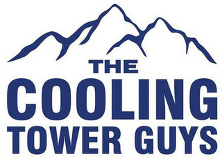 THE COOLING TOWER GUYS