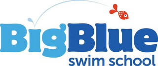 BIG BLUE SWIM SCHOOL