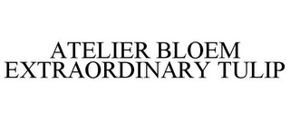ATELIER BLOEM EXTRAORDINARY TULIP