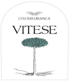 COLOMBABIANCA VITESE