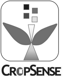 CROPSENSE