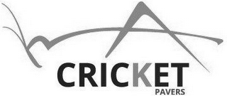 CRICKET PAVERS