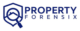 PROPERTY FORENSIX