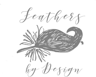 FEATHERS BY DESIGN