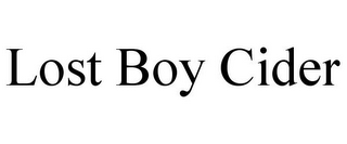 LOST BOY CIDER