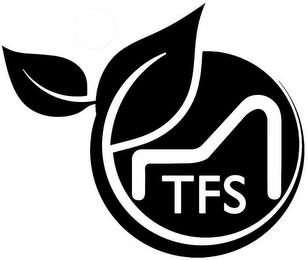 TFS