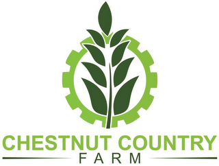 CHESTNUT COUNTRY FARM