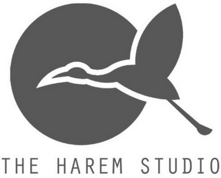 THE HAREM STUDIO