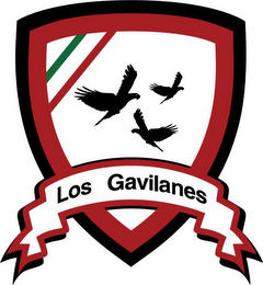 LOS GAVILANES