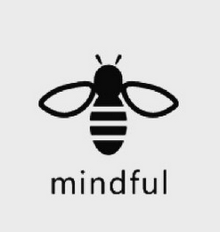 MINDFUL