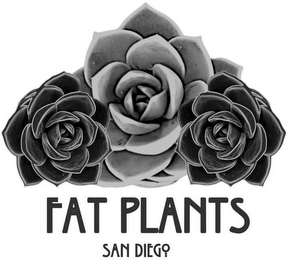 FAT PLANTS SAN DIEGO