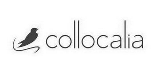 COLLOCALIA