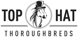 TOP HAT THOROUGHBREDS