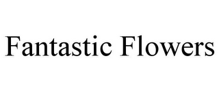 FANTASTIC FLOWERS