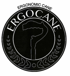 ERGONOMIC CANE ERGOCANE