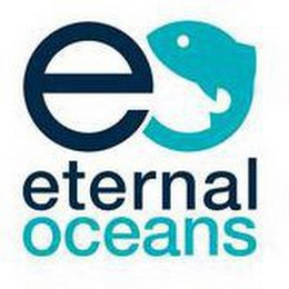 E ETERNAL OCEANS