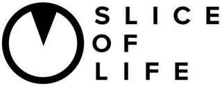 SLICE OF LIFE