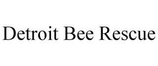DETROIT BEE RESCUE