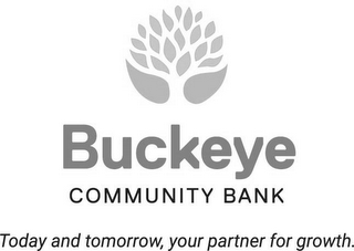 BUCKEYE COMMUNITY BANK TODAY AND TOMORROW, YOUR PARTNER FOR GROWTH
