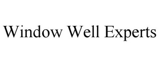 WINDOW WELL EXPERTS